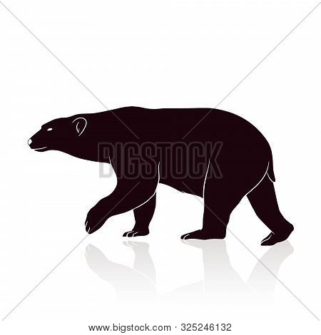 Bear Silhouette Vector Isolated On White Backround