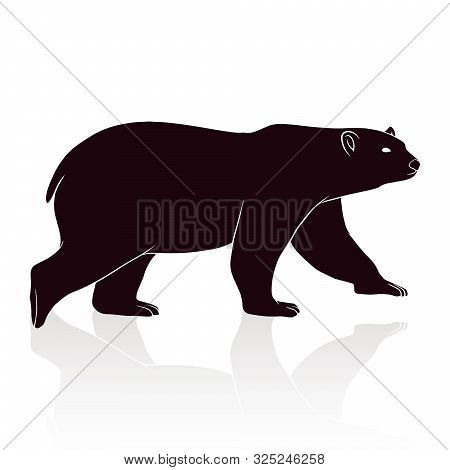 Bear Silhouette Vector Isolated On White Backround