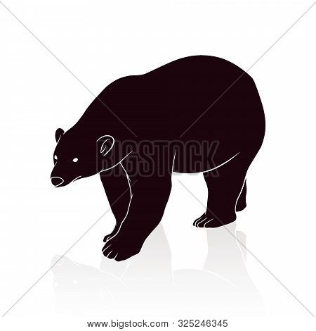 Bear Silhouette Vector Isolated On White Backround