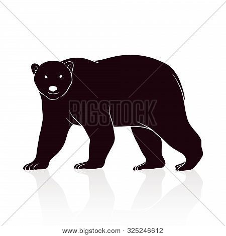 Bear Silhouette Vector Isolated On White Backround