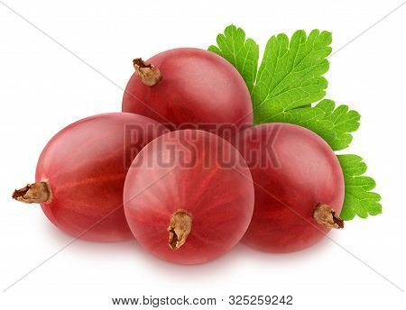 Group Of Ripe Sweet Gooseberries With Leaves Isolated On White Background.