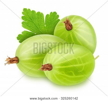 Group Of Ripe Sweet Gooseberries With Leaves Isolated On White Background.