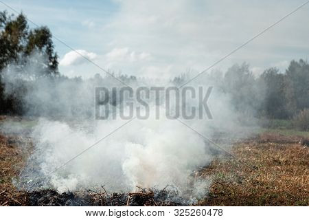 A Column Of Smoke In The Field, Fires, Fire In Nature, The Destruction Of Tree Plants.