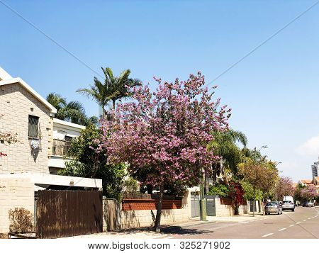 Holon, Israel  April 02, 2019: Private Houses, Trees And Streets In Holon, Israel.