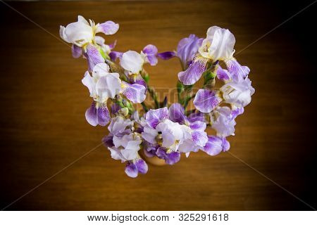 Beautiful Blue Fleuret- Iris. It Is On Wooden Background
