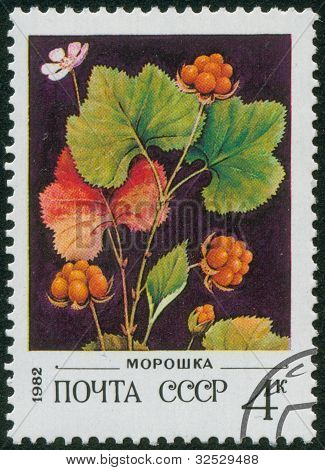 Stamp, Macro