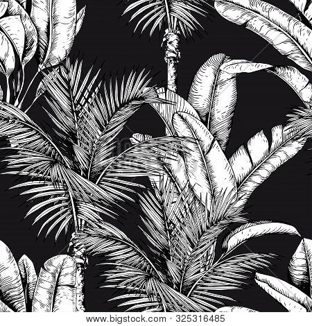 Seamless Pattern With Tropical Palm Trees And Leaves. Black And White Vector. Hand Drawn Illustratio
