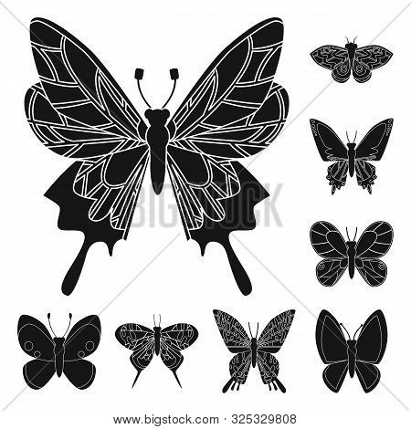 Vector Illustration Of Ecology And Tropics Icon. Set Of Ecology And Summer Vector Icon For Stock.