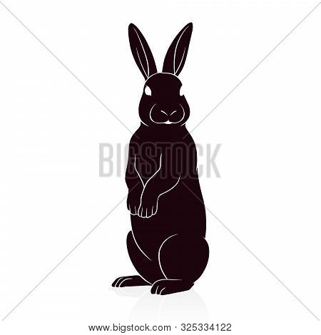 Rabbit Silhouette Vector Illustration Isolated On White Background