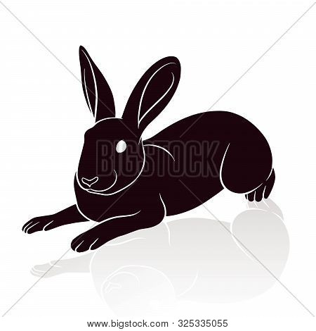 Rabbit Silhouette Vector Illustration Isolated On White Background