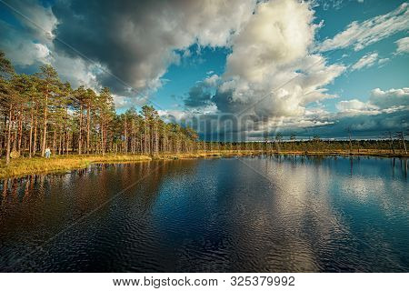Viru Raba Swamp Blue Lake In Estonia