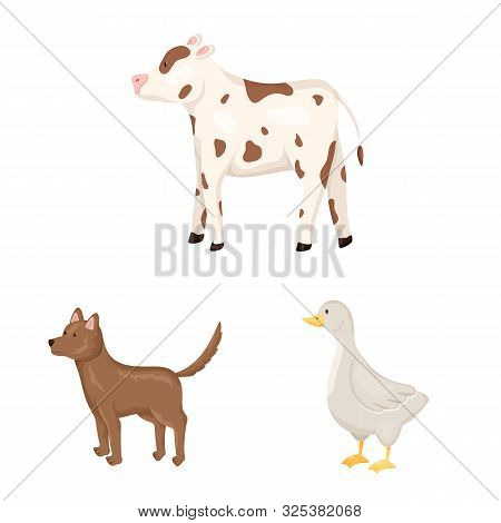 Isolated Object Of Farm And Food Icon. Set Of Farm And Countryside Stock Symbol For Web.