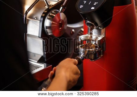 Professional Coffee Grinder Grinding Fresh Roasted Coffee Beans. Barista Holding Bottomless Portafil