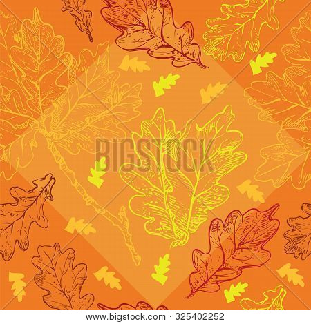Vector Autumn Hand Drawing Seamless Pattern With Different Color Oak Tree Leaves Outline On The Oran
