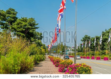 Cars Traveling On Street Of Flags