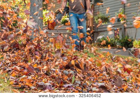 Leaf Blower In Action Moving Colorful Fall Leaves From Residential Lawn With Intentional Motion Blur