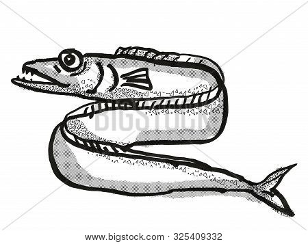 Retro Cartoon Style Drawing Of A Frostfish , A Native New Zealand Marine Life Species Viewed From Si
