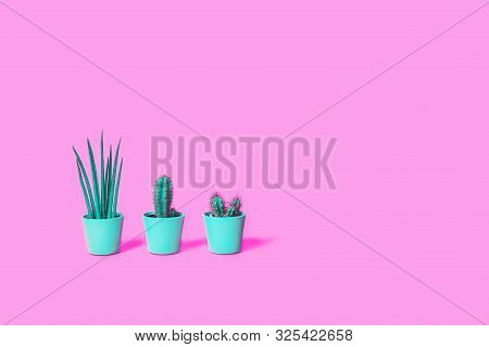 Three Different Cacti In Mint Pots On Trendy Bright Neon Pink Background. Environment Friendly Summe