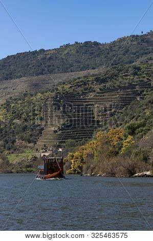 Scenic View Of The Douro River With A Traditional Rabelo Boat And Terraced Vineyards Near The Tua Vi