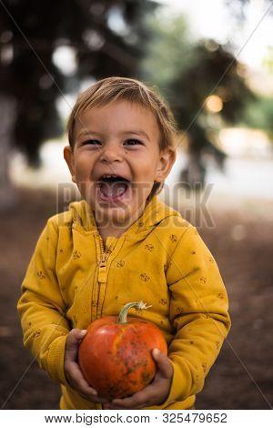Little Beautiful Girl Toddler Holding Pumpkin Outdoors On Sunny Fall Day. Halloween Concept