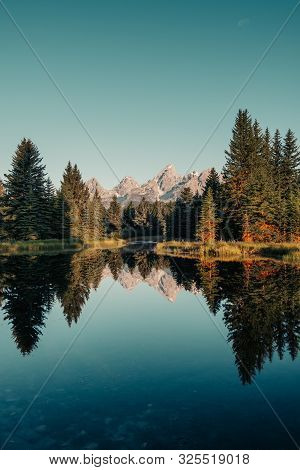 Morning Glow Of Pine Trees And The Teton Range Of The Rocky Mountains.  Schwabacher Landing In Grand