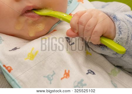 Baby Holds A Spoon And Put It In His Mouth With His Little Hand. Baby First Soilds. Weaning.