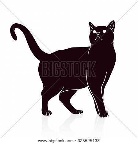 Cat Silhouette Vector Illustration Isolated On White Background