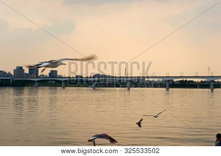 Hang River In Seoul In The Evening