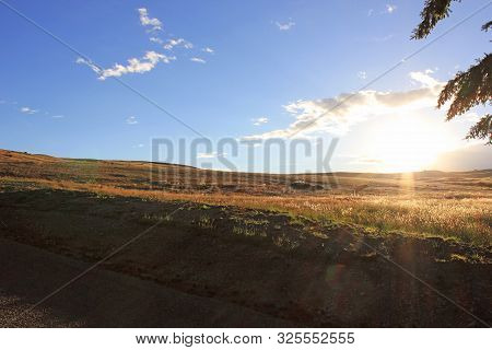 Sunset over the grassland of canterbury, new zealand