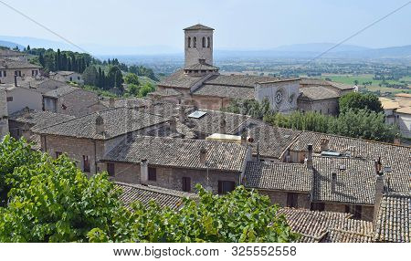 San Francisco De Asis, Town Of Florence Italy