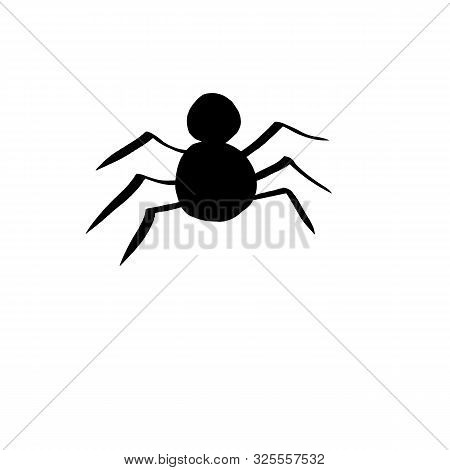 Spider, Redback Or Black Widow, Latrodectus Hasselti, Isolated On White