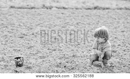 Natural Soil. New Technology In Farming. Small Kid Planting A Flower. Ecology Life. Eco Farm. Human 