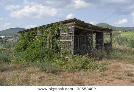 Wybiegiem rzucić w pobliżu San Regolo w Chianti