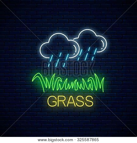 Neon Sign Of Raining Clouds And Plot Of Grass. Lawn Irrigation Concept In Neon Style. Vector Illustr