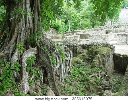 This Is The Site Of An Aztec Temple Area Known As The Jaguar Temple Located In Guatemala