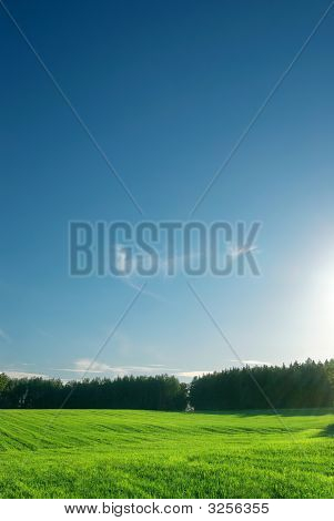 Greenfield a lesa s dokonalou siluetu