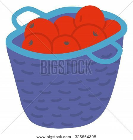 Wicker Basket With Red Apples With Leaves, Picking Fruit In Wooden Pottle. Sweet Product, Fresh Nutr