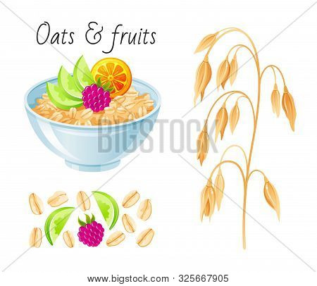 Oat Meal Fruit Berry Set. Bowl, Oatmeal Ear, Flake, Apple. Breakfast Cup, Oat Grain Porridge Or Mues