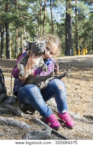 In The Autumn Forest, A Little Girl Holds A French Bulldog In Her Arms. She Is Happy, Hugs Him.