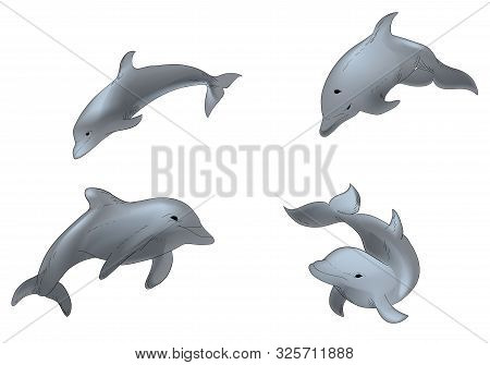 Hand Drawn Illustration Set Of  Swimming Dophins Isolated On White Background