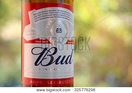 Kharkov, Ukraine - September 23, 2019: Fragment Of Budweiser Bud Beer Bottle On A Green Trees Backgr