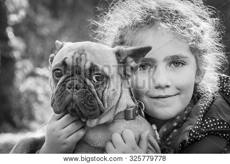 In The Autumn Forest, A Little Girl Holds A French Bulldog In Her Arms. She Is Happy, Hugs Him.black