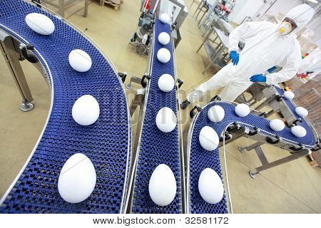 volledig beschermd in witte uniform engineer bij xxl formaat ei productielijn in GGO fabriek