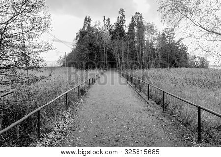 Footpath In Finland Ruissalo Island Shot In Black And White