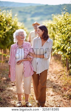 Grape Vineyard fields. Grape harvesting. family in autumn vineyard
