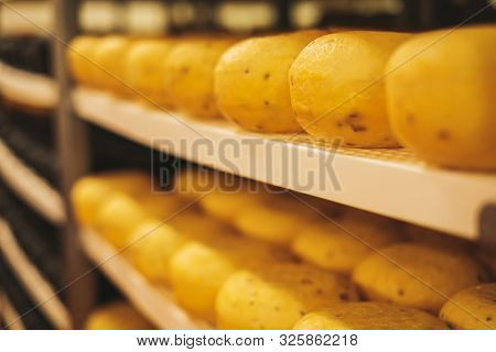Cheese in a storage room