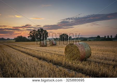 Circles Of Hay In The Field After Haymaking, Evening Sky