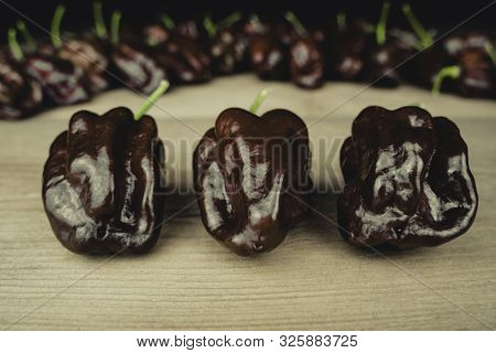 Photo Of Chocolate Habanero Peppers (capsicum Chinense) On A Wooden Table. Three In The Front. Choco