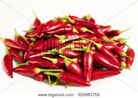 Pile Of Fresh And Ripe Red Hot Chili.  Chili Saltillo (capsicum Annum)