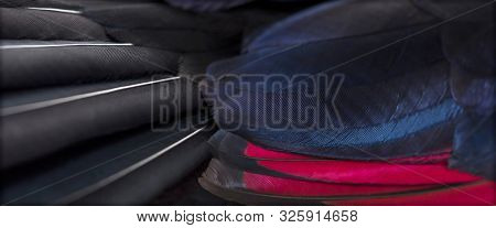 Close up of White-crested turacos, Tauraco leucolophus, wing
